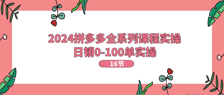 （11222期）2024拼多多全系列课程实操，日销0-100单实操【16节课】-自媒体副业资源网