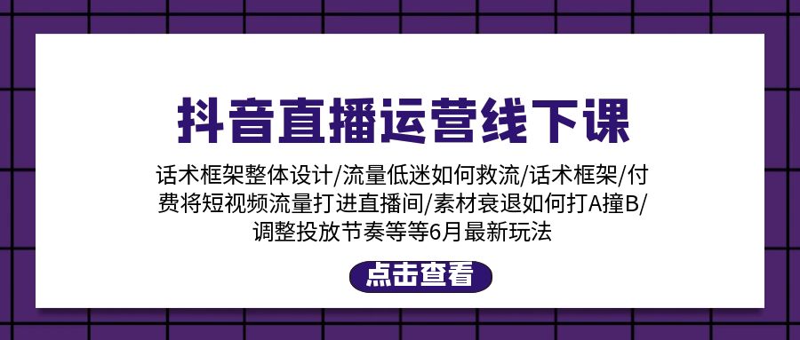 （11211期）抖音直播运营线下课：话术框架/付费流量直播间/素材A撞B/等6月新玩法-自媒体副业资源网