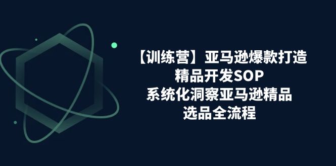 （11210期）【训练营】亚马逊爆款打造之精品开发SOP，系统化洞察亚马逊精品选品全流程-自媒体副业资源网