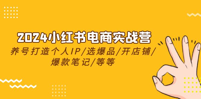 2024小红书电商实战营，养号打造IP/选爆品/开店铺/爆款笔记/等等（24节）-自媒体副业资源网