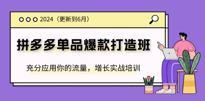 （11556期）2024拼多多-单品爆款打造班(更新6月)，充分应用你的流量，增长实战培训-自媒体副业资源网