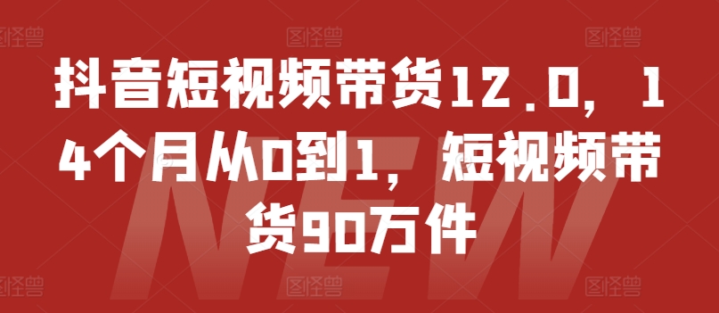 抖音短视频带货12.0，14个月从0到1，短视频带货90万件-自媒体副业资源网