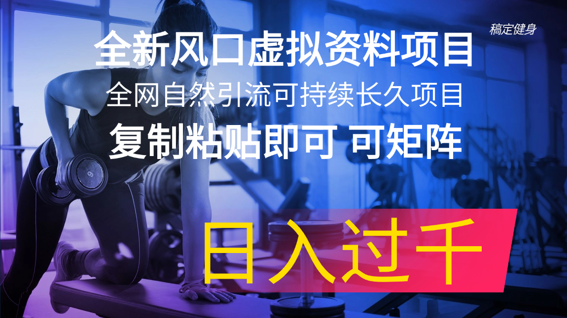 （11587期）全新风口虚拟资料项目 全网自然引流可持续长久项目 复制粘贴即可可矩阵…-自媒体副业资源网