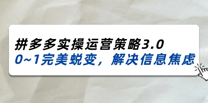 （11658期）2024_2025拼多多实操运营策略3.0，0~1完美蜕变，解决信息焦虑（38节）-自媒体副业资源网