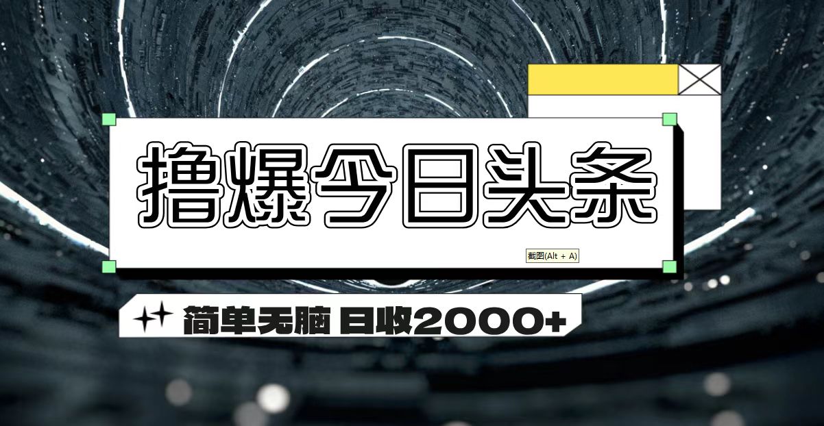 （11665期）撸爆今日头条 简单无脑操作 日收2000+-自媒体副业资源网