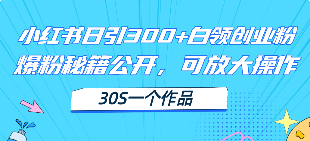 （11692期）小红书日引300+高质白领创业粉，可放大操作，爆粉秘籍！30s一个作品-自媒体副业资源网