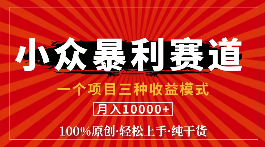 （11695期）视频号【中老年粉深信不疑】小众赛道 100%原创 手把手教学 新号3天收益…-自媒体副业资源网