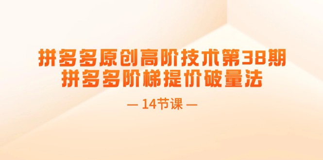 （11704期）拼多多原创高阶技术第38期，拼多多阶梯提价破量法（14节课）-自媒体副业资源网