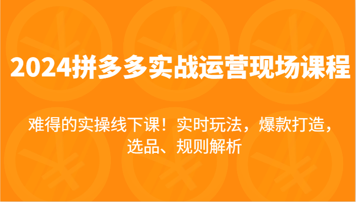 2024拼多多实战运营现场课，实时玩法，爆款打造，选品、规则解析，难得的实操线下课！-自媒体副业资源网