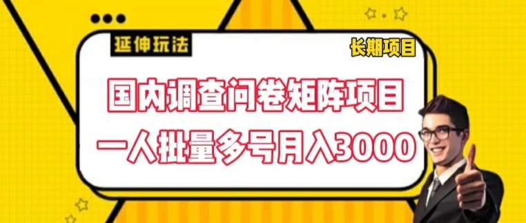 国内调查问卷矩阵项目，一人批量多号月入3000-自媒体副业资源网