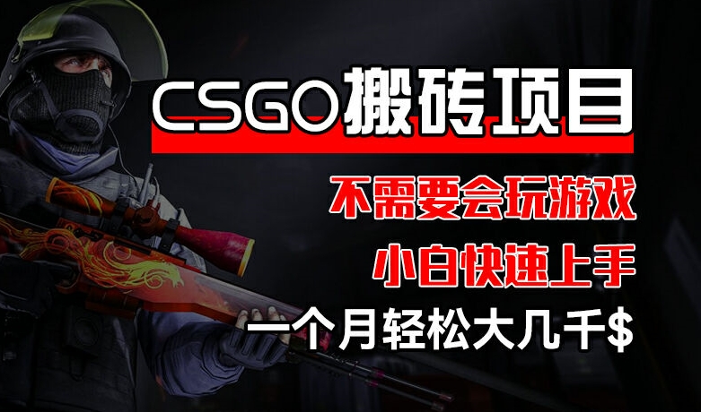 CSGO 装备搬砖项目，操作简单，不需要会玩游戏，小白也能快速上手，一个月轻松大几千-自媒体副业资源网