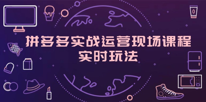 （11759期）拼多多实战运营现场课程，实时玩法，爆款打造，选品、规则解析-自媒体副业资源网