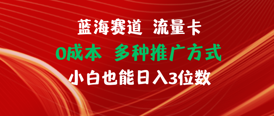 （11768期）蓝海赛道 流量卡 0成本 小白也能日入三位数-自媒体副业资源网