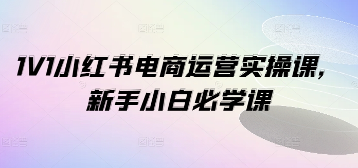 1V1小红书电商运营实操课，新手小白必学课-自媒体副业资源网