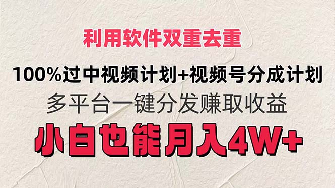 （11862期）利用软件双重去重，100%过中视频+视频号分成计划小白也可以月入4W+-自媒体副业资源网