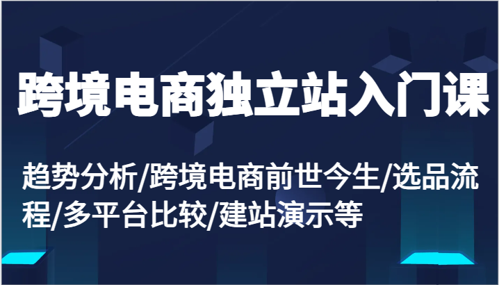 跨境电商独立站入门课：趋势分析/跨境电商前世今生/选品流程/多平台比较/建站演示等-自媒体副业资源网