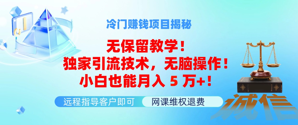 （11864期）冷门赚钱项目无保留教学！独家引流技术，无脑操作！小白也能月入5万+！-自媒体副业资源网