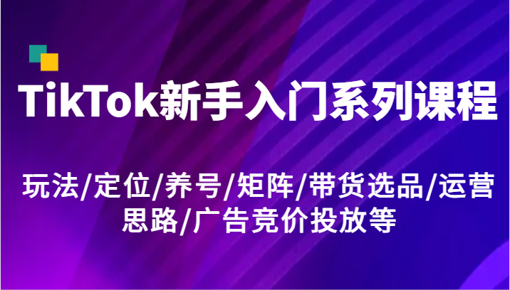 TikTok新手入门系列课程，玩法/定位/养号/矩阵/带货选品/运营思路/广告竞价投放等-自媒体副业资源网