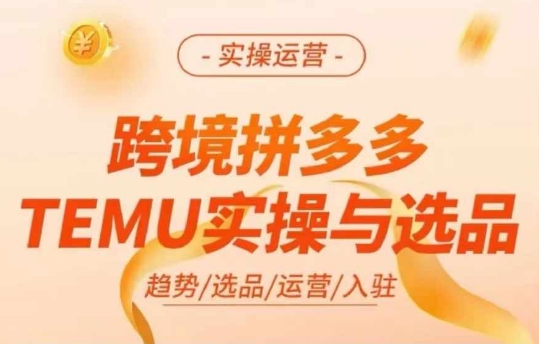 跨境拼多多TEMU实操与选品，多多temu跨境选品运营实操-自媒体副业资源网