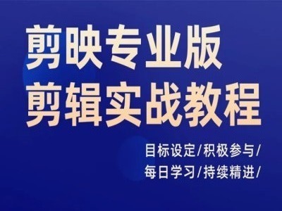 剪映专业版剪辑实战教程，目标设定/积极参与/每日学习/持续精进-自媒体副业资源网