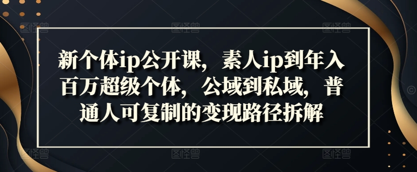 新个体ip公开课，素人ip到年入百万超级个体，公域到私域，普通人可复制的变现路径拆解-自媒体副业资源网