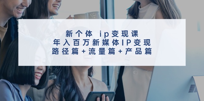 新个体ip变现课，年入百万新媒体IP变现，路径篇+流量篇+产品篇-自媒体副业资源网