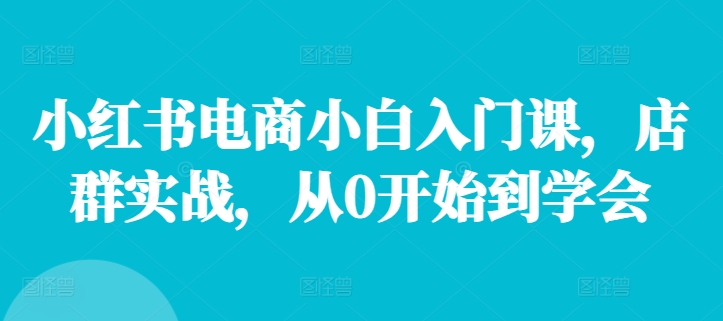 小红书电商小白入门课，店群实战，从0开始到学会-自媒体副业资源网