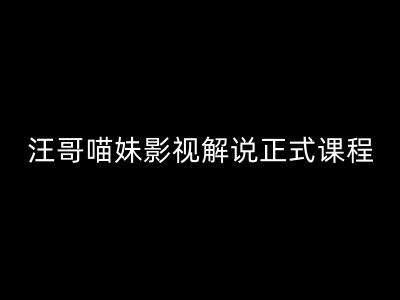 汪哥影视解说正式课程：剪映/PR教学/视解说剪辑5大黄金法则/全流程剪辑7把利器等等-自媒体副业资源网