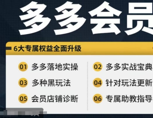 拼多多会员，拼多多实战宝典+实战落地实操，从新手到高阶内容全面覆盖-自媒体副业资源网