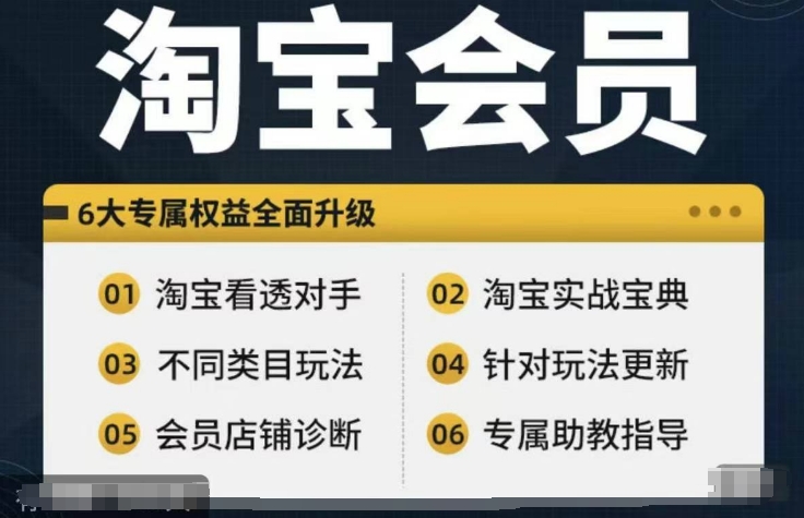 淘宝会员【淘宝所有课程，全面分析对手】，初级到高手全系实战宝典-自媒体副业资源网