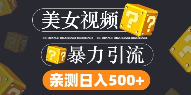 搬运tk美女视频全网分发，日引s粉300+，轻松变现，不限流量不封号-自媒体副业资源网