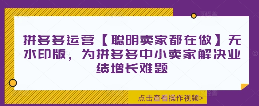 拼多多运营【聪明卖家都在做】无水印版，为拼多多中小卖家解决业绩增长难题-自媒体副业资源网