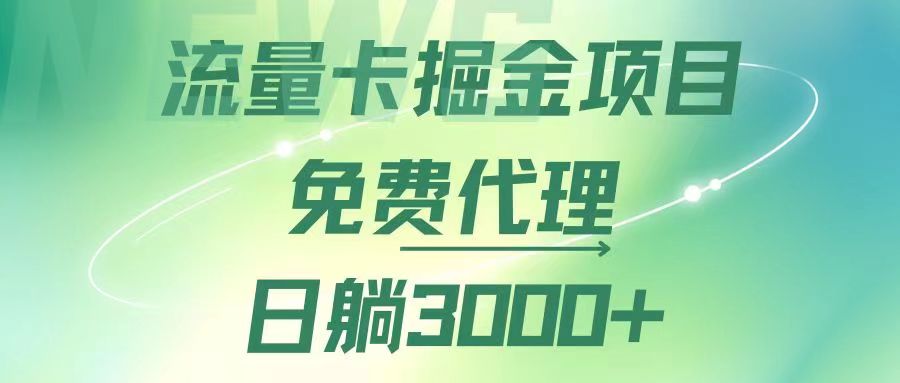 （12321期）流量卡掘金代理，日躺赚3000+，变现暴力，多种推广途径-自媒体副业资源网