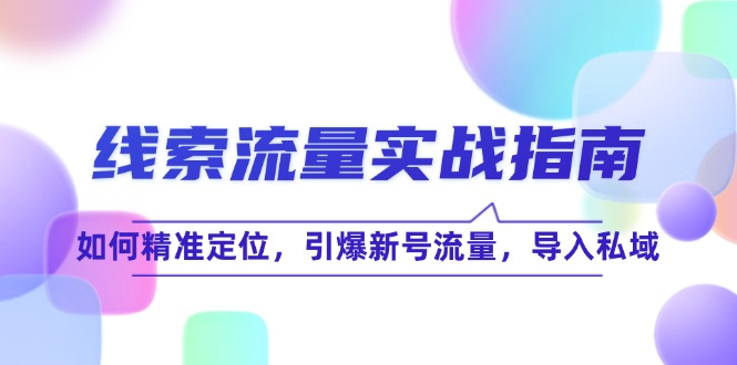 （12382期）线 索 流 量-实战指南：如何精准定位，引爆新号流量，导入私域-自媒体副业资源网