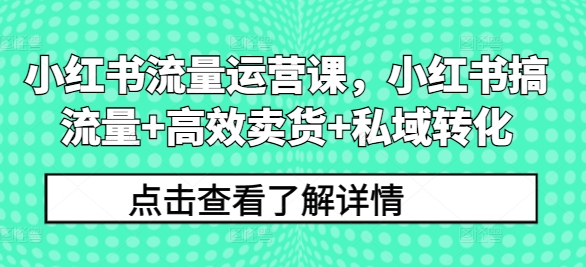 小红书流量运营课，小红书搞流量+高效卖货+私域转化-自媒体副业资源网