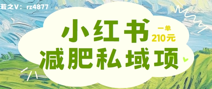 小红书减肥粉，私域变现项目，一单就达210元，小白也能轻松上手-自媒体副业资源网