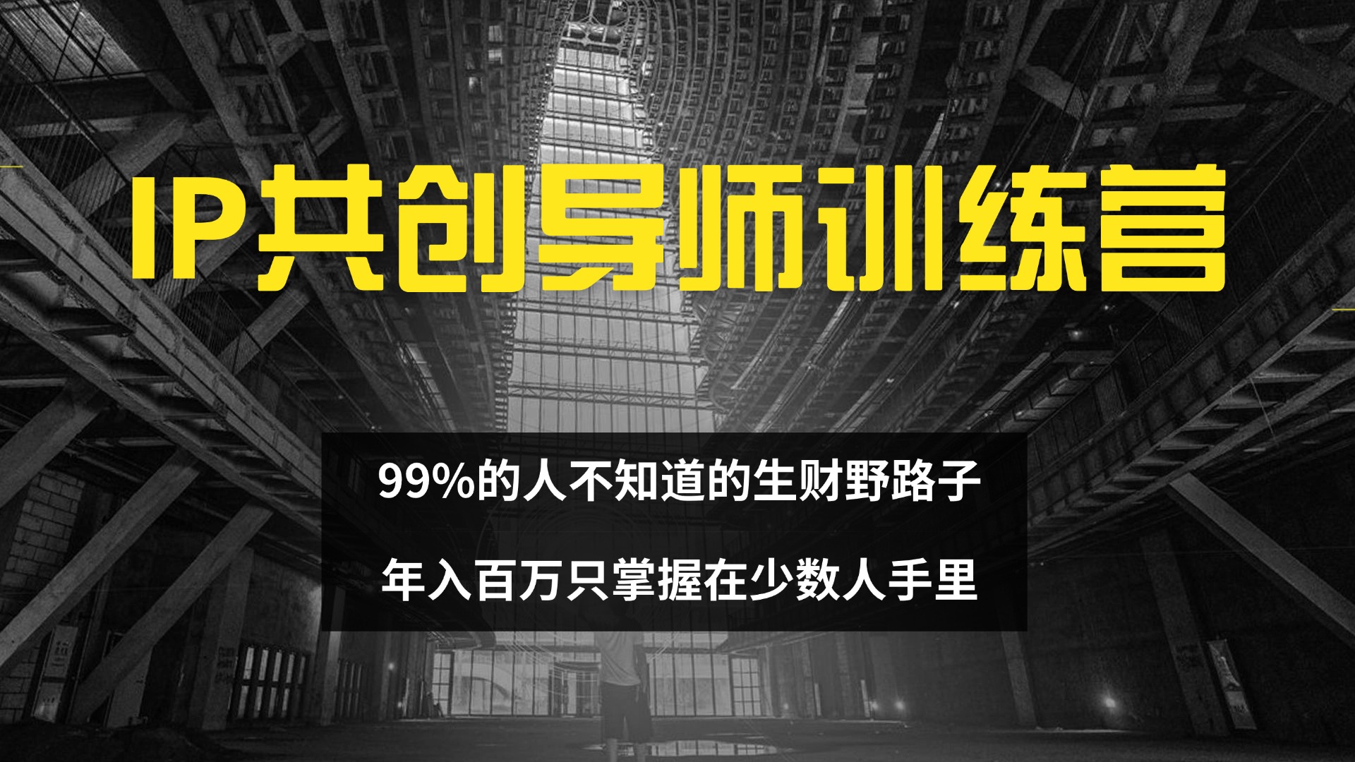 （12504期）IP共创导师训练营 99%的人不知道的生财野路子 只掌握在少数人手里-自媒体副业资源网