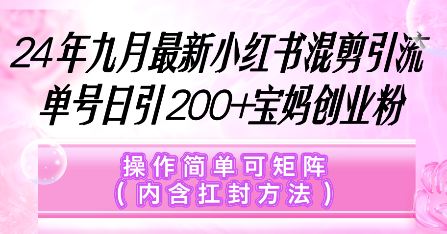 （12530期）小红书混剪引流，单号日引200+宝妈创业粉，操作简单可矩阵（内含扛封…-自媒体副业资源网