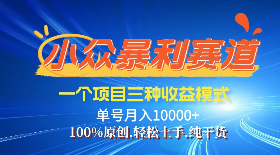 （12579期）【老人言】-视频号爆火赛道，三种变现方式，0粉新号调调爆款-自媒体副业资源网