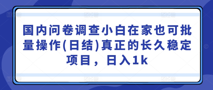 国内问卷调查小白在家也可批量操作(日结)真正的长久稳定项目，日入1k-自媒体副业资源网