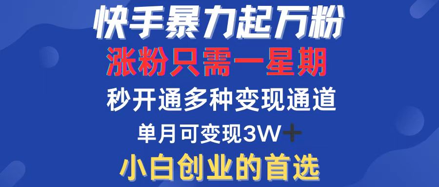 （12651期）快手暴力起万粉，涨粉只需一星期，多种变现模式，直接秒开万合，小白创…-自媒体副业资源网