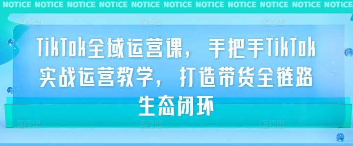 TikTok全域运营课，手把手TikTok实战运营教学，打造带货全链路生态闭环-自媒体副业资源网