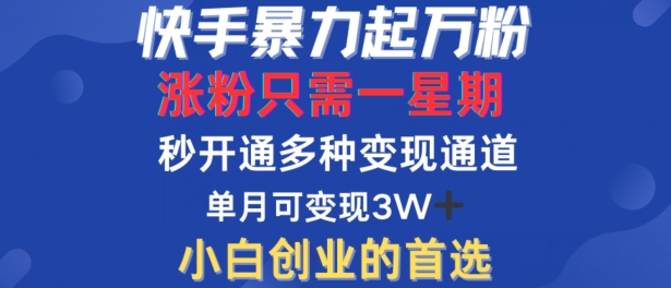 快手暴力起万粉，涨粉只需一星期，多种变现模式，直接秒开万合，单月变现过W-自媒体副业资源网