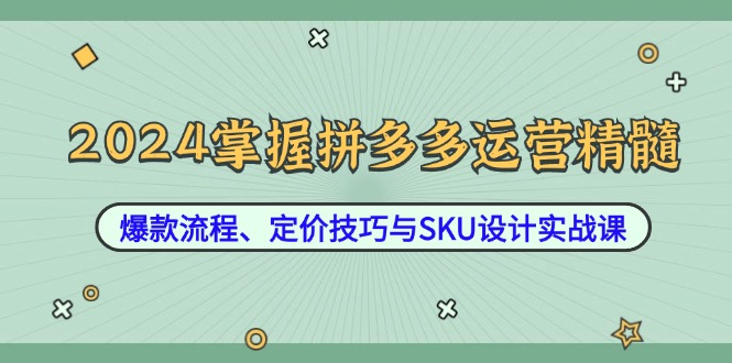 （12703期）2024掌握拼多多运营精髓：爆款流程、定价技巧与SKU设计实战课-自媒体副业资源网