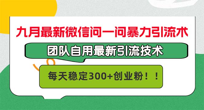 （12735期）九月最新微信问一问暴力引流术，团队自用引流术，每天稳定300+创…-自媒体副业资源网