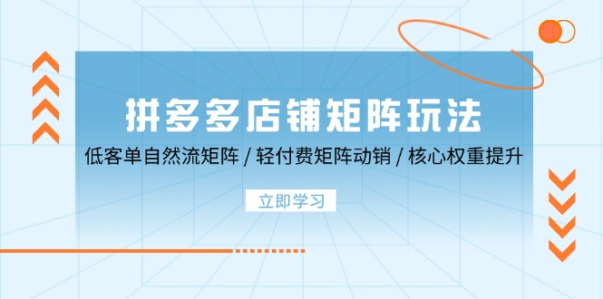 拼多多店铺矩阵玩法：低客单自然流矩阵 / 轻付费矩阵 动销 / 核心权重提升-自媒体副业资源网