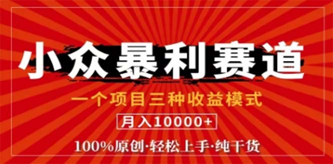 （12756期）视频号最新爆火赛道，三种可收益模式，0粉新号条条原创条条热门 日入1000+-自媒体副业资源网