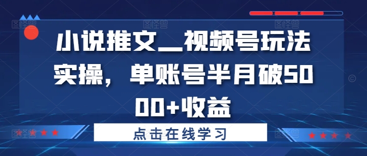 小说推文—视频号玩法实操，单账号半月破5000+收益-自媒体副业资源网