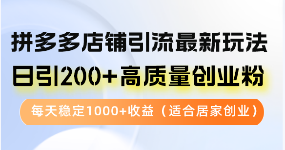 （12893期）拼多多店铺引流最新玩法，日引200+高质量创业粉，每天稳定1000+收益（…-自媒体副业资源网