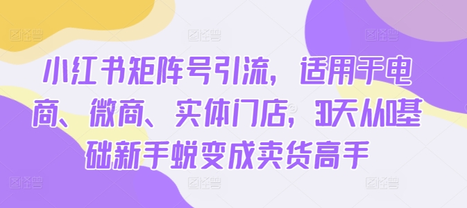 小红书矩阵号引流，适用于电商、微商、实体门店，30天从0基础新手蜕变成卖货高手-自媒体副业资源网